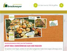 Tablet Screenshot of brockmeyer.de